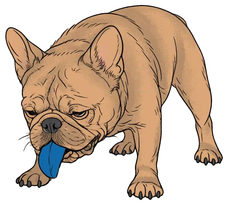 Atemnot, blaue Schleimhäute - Hund mit blauer Zunge