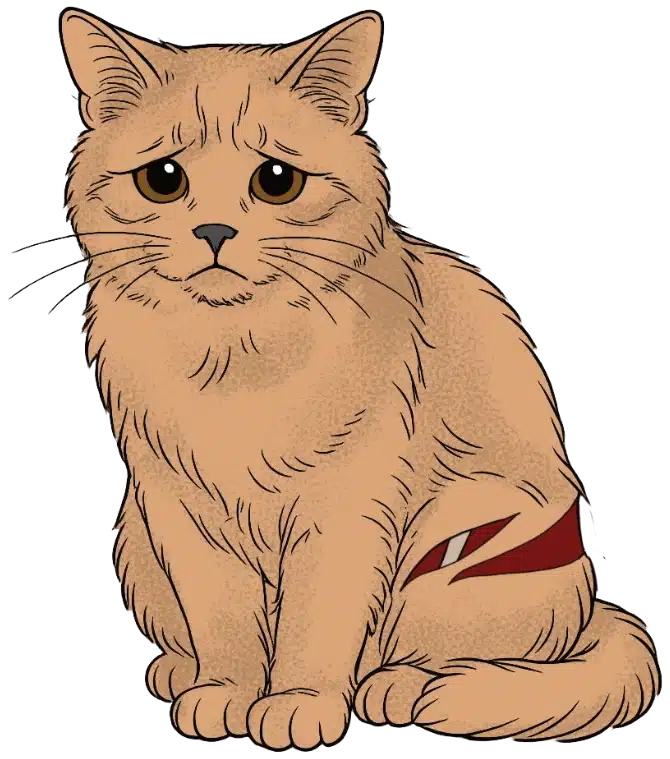 Große, klaffende Wunden - Katze mit Verletzung